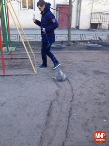 VV4appU1AnA.jpg (1700 просмотров) <a class='original' href='./download/file.php?id=74555&mode=view' target=_blank>Загрузить оригинал (72.21 КБ)</a>