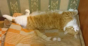 DSC_0010.jpg (3768 просмотров) <a class='original' href='./download/file.php?id=74618&mode=view' target=_blank>Загрузить оригинал (608.58 КБ)</a>