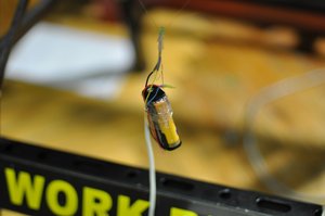 граффити робот.JPG (6748 просмотров) <a class='original' href='./download/file.php?id=747&sid=2fb17b841b583712f8006f856c98c40c&mode=view' target=_blank>Загрузить оригинал (338.72 КБ)</a>