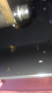 IMAG0029.jpg (1832 просмотра) <a class='original' href='./download/file.php?id=75089&mode=view' target=_blank>Загрузить оригинал (1.19 МБ)</a>