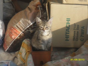 02.jpg (3710 просмотров) <a class='original' href='./download/file.php?id=75491&mode=view' target=_blank>Загрузить оригинал (164.73 КБ)</a>