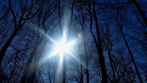 весна-в-лесу.jpg (4025 просмотров) <a class='original' href='./download/file.php?id=76152&mode=view' target=_blank>Загрузить оригинал (97.58 КБ)</a>