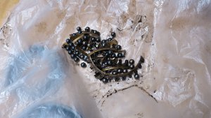 IMG_1536-1.jpg (6209 просмотров) <a class='original' href='./download/file.php?id=76261&mode=view' target=_blank>Загрузить оригинал (614.21 КБ)</a>