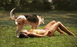 1459700962-daa79432b242c16e82493597a4d8c41f.jpg (1956 просмотров) <a class='original' href='./download/file.php?id=77081&mode=view' target=_blank>Загрузить оригинал (97.98 КБ)</a>