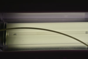 _DSC0258.JPG (4777 просмотров) <a class='original' href='./download/file.php?id=77130&mode=view' target=_blank>Загрузить оригинал (7.91 МБ)</a>