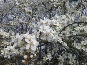 2016-04-09 22.52.54_153.jpg (4000 просмотров) <a class='original' href='./download/file.php?id=77446&mode=view' target=_blank>Загрузить оригинал (1.13 МБ)</a>