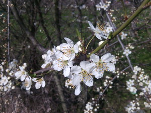 2016-04-09 22.52.54_152.jpg (4000 просмотров) <a class='original' href='./download/file.php?id=77447&mode=view' target=_blank>Загрузить оригинал (883.75 КБ)</a>