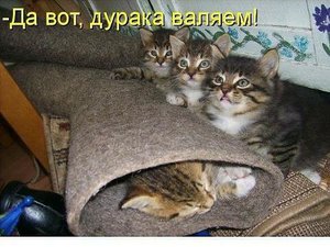 image (1).jpg (2129 просмотров) <a class='original' href='./download/file.php?id=77948&mode=view' target=_blank>Загрузить оригинал (50.1 КБ)</a>