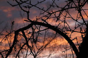 006.jpg (3961 просмотр) <a class='original' href='./download/file.php?id=79412&mode=view' target=_blank>Загрузить оригинал (1 МБ)</a>