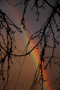 011.jpg (3961 просмотр) <a class='original' href='./download/file.php?id=79417&mode=view' target=_blank>Загрузить оригинал (785.58 КБ)</a>