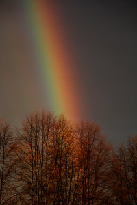 012.jpg (3961 просмотр) <a class='original' href='./download/file.php?id=79418&mode=view' target=_blank>Загрузить оригинал (1.03 МБ)</a>