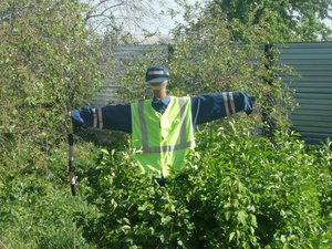 Пугало.jpg (5065 просмотров) <a class='original' href='./download/file.php?id=7942&mode=view' target=_blank>Загрузить оригинал (161.18 КБ)</a>