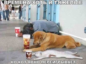 кот.jpg (1916 просмотров) <a class='original' href='./download/file.php?id=79440&mode=view' target=_blank>Загрузить оригинал (49.06 КБ)</a>