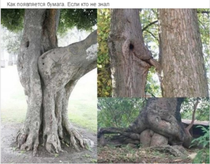 Screenshot - 07.05.2016 , 7_27_47.png (1866 просмотров) <a class='original' href='./download/file.php?id=79489&mode=view' target=_blank>Загрузить оригинал (585.63 КБ)</a>