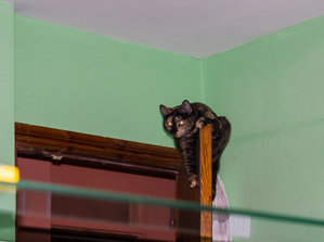 _DSC1738.jpg (3568 просмотров) <a class='original' href='./download/file.php?id=80445&mode=view' target=_blank>Загрузить оригинал (4.41 МБ)</a>