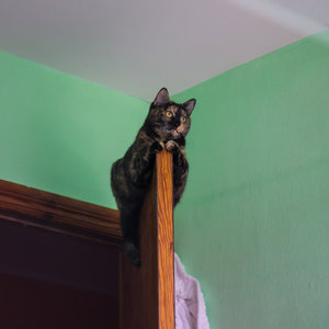 _DSC1739.jpg (3568 просмотров) <a class='original' href='./download/file.php?id=80446&mode=view' target=_blank>Загрузить оригинал (3.88 МБ)</a>