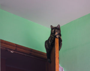 _DSC1740.jpg (3568 просмотров) <a class='original' href='./download/file.php?id=80447&mode=view' target=_blank>Загрузить оригинал (3.95 МБ)</a>