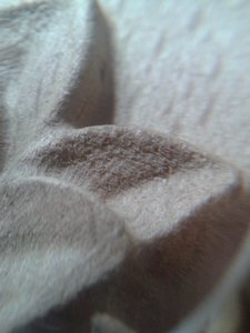 20160525_205333.jpg (3166 просмотров) <a class='original' href='./download/file.php?id=80980&mode=view' target=_blank>Загрузить оригинал (1.2 МБ)</a>