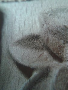 20160525_205411.jpg (3166 просмотров) <a class='original' href='./download/file.php?id=80981&mode=view' target=_blank>Загрузить оригинал (1.32 МБ)</a>