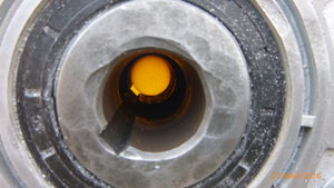 P1000730.JPG (2147 просмотров) <a class='original' href='./download/file.php?id=81208&mode=view' target=_blank>Загрузить оригинал (5.01 МБ)</a>