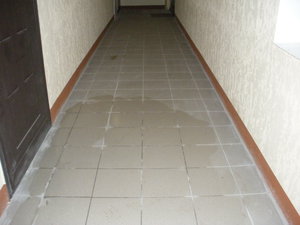 DSCN0249.JPG (2067 просмотров) <a class='original' href='./download/file.php?id=81309&mode=view' target=_blank>Загрузить оригинал (1.7 МБ)</a>