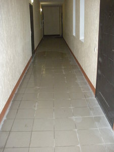 DSCN0250.JPG (2067 просмотров) <a class='original' href='./download/file.php?id=81310&mode=view' target=_blank>Загрузить оригинал (1.6 МБ)</a>