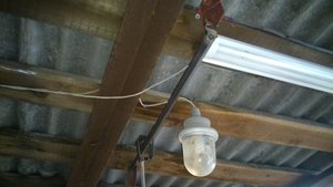 DSC_1372.JPG (2760 просмотров) <a class='original' href='./download/file.php?id=81628&mode=view' target=_blank>Загрузить оригинал (774.2 КБ)</a>