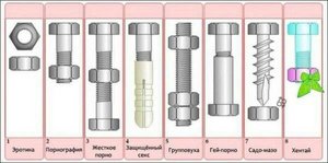 dc1ad9040152.jpg (2691 просмотр) <a class='original' href='./download/file.php?id=81833&mode=view' target=_blank>Загрузить оригинал (37.34 КБ)</a>