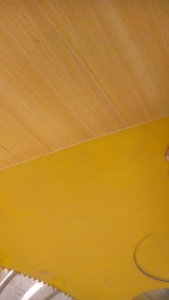 P_20160608_142006[1].jpg (10984 просмотра) <a class='original' href='./download/file.php?id=82100&mode=view' target=_blank>Загрузить оригинал (1.26 МБ)</a>