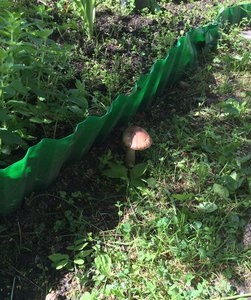 image.jpg (2297 просмотров) <a class='original' href='./download/file.php?id=82271&mode=view' target=_blank>Загрузить оригинал (853.52 КБ)</a>