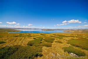 z_0d364bdf.jpg (3843 просмотра) <a class='original' href='./download/file.php?id=82769&mode=view' target=_blank>Загрузить оригинал (353.24 КБ)</a>