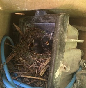 image.jpg (3824 просмотра) <a class='original' href='./download/file.php?id=82794&mode=view' target=_blank>Загрузить оригинал (954.38 КБ)</a>