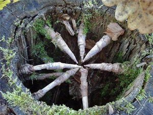 2625693_900.jpg (2150 просмотров) <a class='original' href='./download/file.php?id=82899&mode=view' target=_blank>Загрузить оригинал (107.98 КБ)</a>