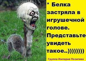 3cb91b6s-960.jpg (2734 просмотра) <a class='original' href='./download/file.php?id=83288&mode=view' target=_blank>Загрузить оригинал (133.07 КБ)</a>