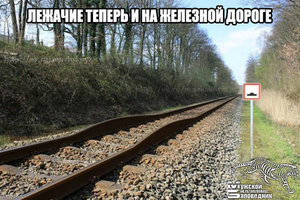 da791b6s-960.jpg (2734 просмотра) <a class='original' href='./download/file.php?id=83291&mode=view' target=_blank>Загрузить оригинал (185.11 КБ)</a>