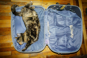 _DSC9511.jpg (3489 просмотров) <a class='original' href='./download/file.php?id=83424&mode=view' target=_blank>Загрузить оригинал (805.43 КБ)</a>