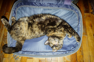 _DSC9513.jpg (3489 просмотров) <a class='original' href='./download/file.php?id=83425&mode=view' target=_blank>Загрузить оригинал (855.71 КБ)</a>