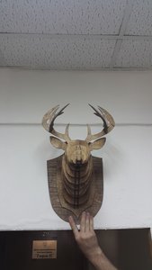 Немного фанерных вырезаний (6007 просмотров) <a class='original' href='./download/file.php?id=83490&mode=view' target=_blank>Загрузить оригинал (592.64 КБ)</a>