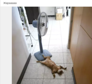 Screenshot - 28.06.2016 , 4_54_32.png (2271 просмотр) <a class='original' href='./download/file.php?id=83552&mode=view' target=_blank>Загрузить оригинал (211.14 КБ)</a>