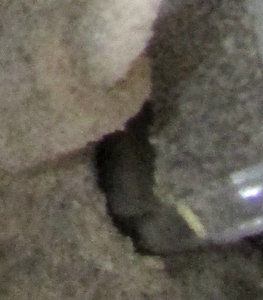 Clipboard04.jpg (2748 просмотров) <a class='original' href='./download/file.php?id=83981&mode=view' target=_blank>Загрузить оригинал (71.97 КБ)</a>