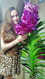 besrmTaoU5M.jpg (2943 просмотра) <a class='original' href='./download/file.php?id=84376&mode=view' target=_blank>Загрузить оригинал (126.88 КБ)</a>