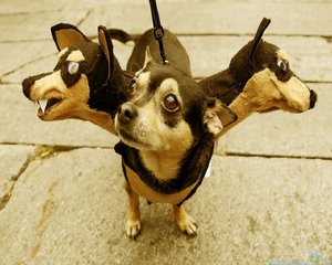three-head-dog-funny-halloween-wallpapers-1280x1024.jpg (2304 просмотра) <a class='original' href='./download/file.php?id=85282&mode=view' target=_blank>Загрузить оригинал (174.11 КБ)</a>