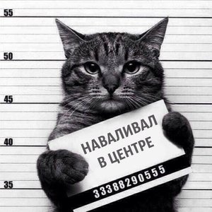 кот.jpg (2156 просмотров) <a class='original' href='./download/file.php?id=86335&mode=view' target=_blank>Загрузить оригинал (64.7 КБ)</a>