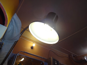 DSC07864.jpg (7635 просмотров) <a class='original' href='./download/file.php?id=86345&mode=view' target=_blank>Загрузить оригинал (275.33 КБ)</a>