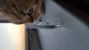 20160809_201539.jpg (3427 просмотров) <a class='original' href='./download/file.php?id=86614&mode=view' target=_blank>Загрузить оригинал (3.02 МБ)</a>