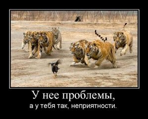 268.jpg (5041 просмотр) <a class='original' href='./download/file.php?id=8792&mode=view' target=_blank>Загрузить оригинал (58.96 КБ)</a>