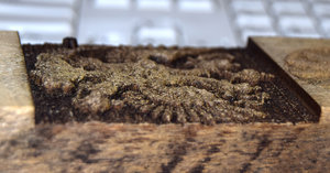 DSC_0521.jpg (4599 просмотров) <a class='original' href='./download/file.php?id=88293&mode=view' target=_blank>Загрузить оригинал (5.43 МБ)</a>