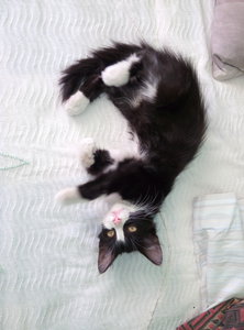 P60903-165815.jpg (3254 просмотра) <a class='original' href='./download/file.php?id=88334&mode=view' target=_blank>Загрузить оригинал (3.77 МБ)</a>