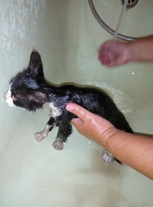 P60903-152458.jpg (3254 просмотра) <a class='original' href='./download/file.php?id=88337&mode=view' target=_blank>Загрузить оригинал (4.04 МБ)</a>