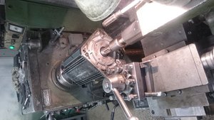 DSC_0382.JPG (108704 просмотра) <a class='original' href='./download/file.php?id=88363&mode=view' target=_blank>Загрузить оригинал (277.71 КБ)</a>